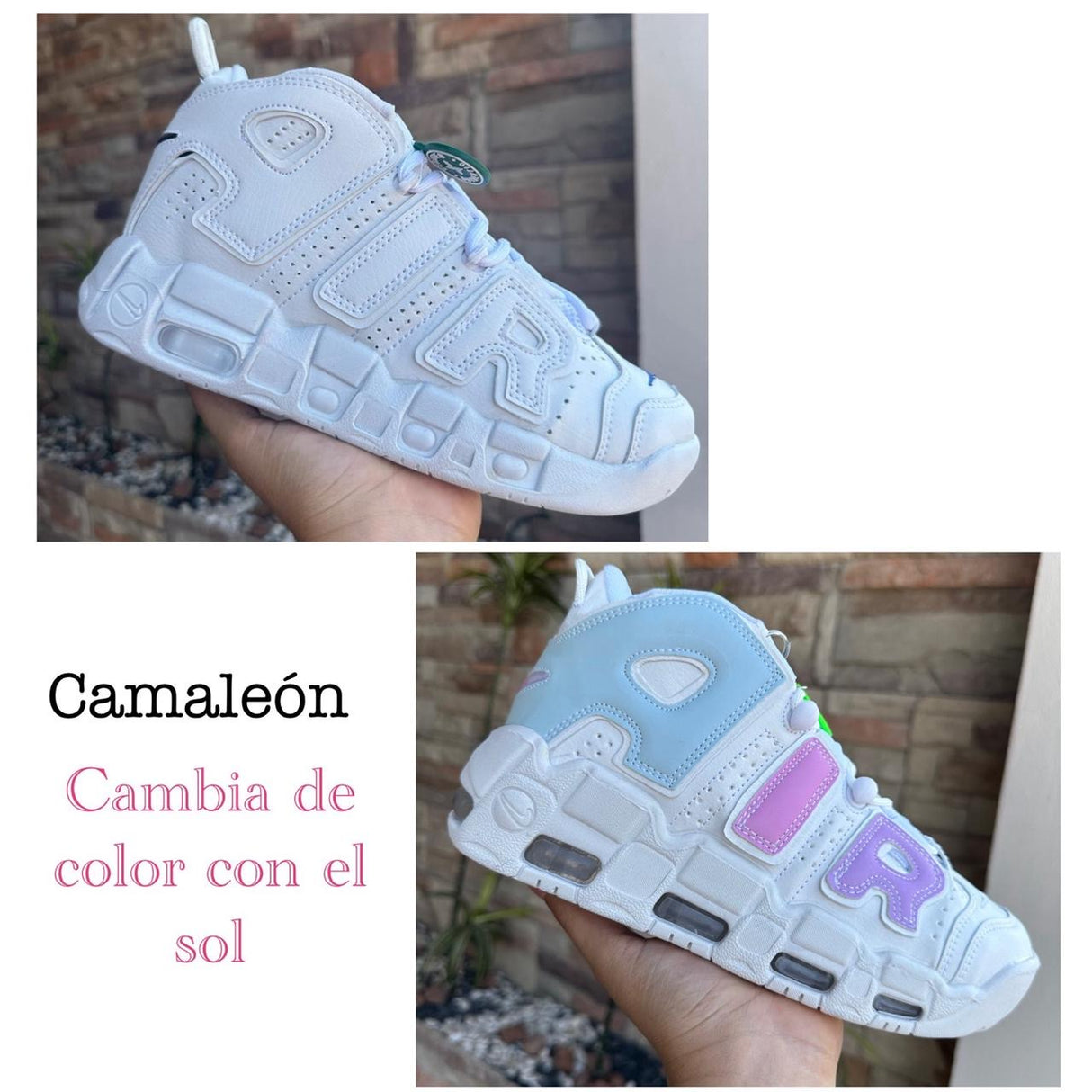 BOTA UPTE CAMALEON